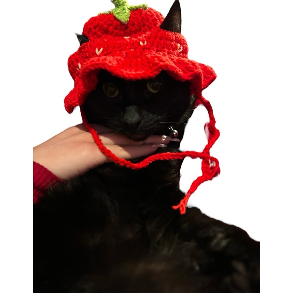 Red Strawberry Knit Cat Hat - Cute Pet Accessory